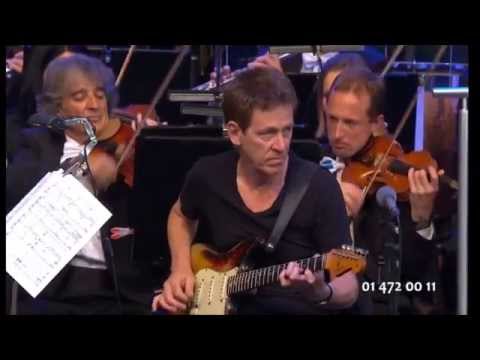 Dominic Miller &amp; SF Orchestra, Rok Golob - NOVEMBER